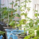 면목2동주민센터 이미지