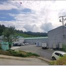 금곡만정길 이미지