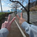 두꺼비 | 군포맛집)평일도 웨이팅맛집 고추장불고기 후기、[수리산두꺼비]