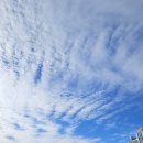 인천광역시 농업기술센터 | 인천광역시 농업기술센터