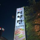 대발탄