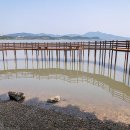 가우도 복합낚시공원 | 5월 가우도 여행, 다산다리와 청자다리를 잇는 봄 산책 코스
