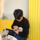 멍쉬멜로 이미지