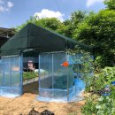 지재농장 | [충북 단양] 비닐하우스 자재 구입해서 창고,휴게공간 만들기