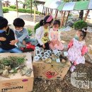 놀이터Ⅱ 이미지