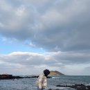 협재1421머물다 이미지