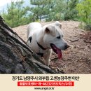 고센농장 이미지