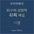 수정-81 이미지