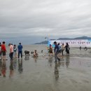 한국천연염색협회(사) 이미지