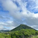 코코농장 1 이미지