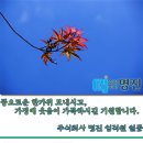 정상물류 주식회사 네이버블로그