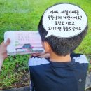 청정제주특산물 | 청정 제주의 건강함을 담다! ‘애월아빠들’ 무항생제 계란 솔직 후기 (feat. 아이가 더 좋아하는 신선함)