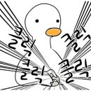리오르