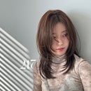 217헤어살롱 목포평화광장점