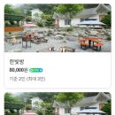 정선 도원펜션&캠핑장 이미지