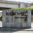 IUCN 나눔의 숲 | 제주도 서귀포시 안덕면 동광육거리 IUCN 기념숲