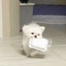 심휘트니스 이미지