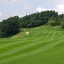 웰리힐리CC 페어웨이빌라(히든힐스) 이미지