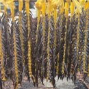 한아름칼국수 | 양양시장 오일장 장날 주차 날짜 위치 먹거리 칼국수 양미리 튀김 송이칼국수