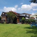 세솔팬션 이미지