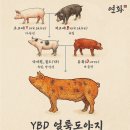 마포-상암-마포-6393 이미지