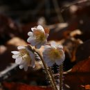 대운산장 이미지