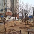 희망나무심기6 이미지