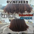 해운대중학교 | 해운대미용실 유목민 탈출! 위닛 해운대중동점 새봄디렉터님 클리닉+컷 후기 (해운대클리닉 필수!)