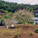 볼소리 펜션 이미지