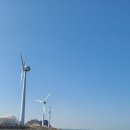 대부해솔길 6코스 이미지