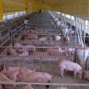 올래PC방 이미지