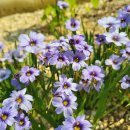 제로나인스테이 이미지