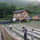 송이민박 이미지