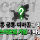 스타트유통