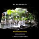 위즈덤북