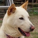 무지개훈련소 이미지