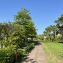 부산시민공원 이미지