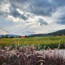 노원네거리 교통섬 이미지