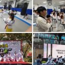 대한미르태권도장 네이버블로그