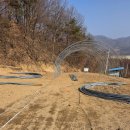 승목장 네이버블로그