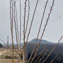 운마농장 이미지