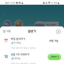 해연농장 네이버블로그