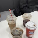토론토 캣 | 토론토에서 나이아가라 당일치기 여행🇨🇦💦
