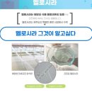 고현약국 이미지