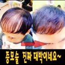 제이밀란