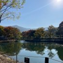 유명산밸리 캠핑장 이미지