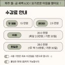 새벽-숲 이미지