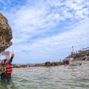 중부플라스틱 | 대만 가오슝 여행 | 거북이의 섬 소류구 스노클링 후기 (대중부잠 스노클링, 거북이 도시락 등)