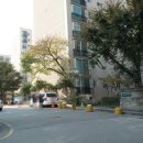 오금동상아아파트 이미지