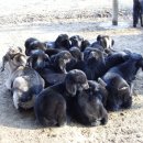 충남농장 이미지